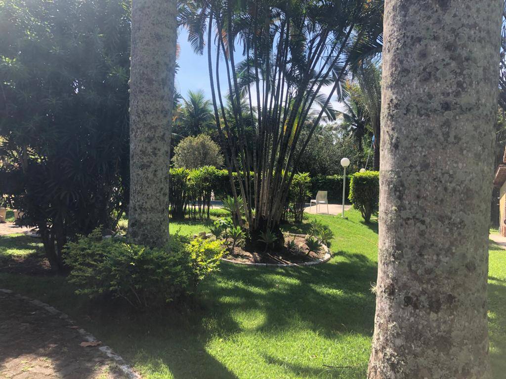 Sítio à venda com 4 quartos, 10000m² - Foto 5