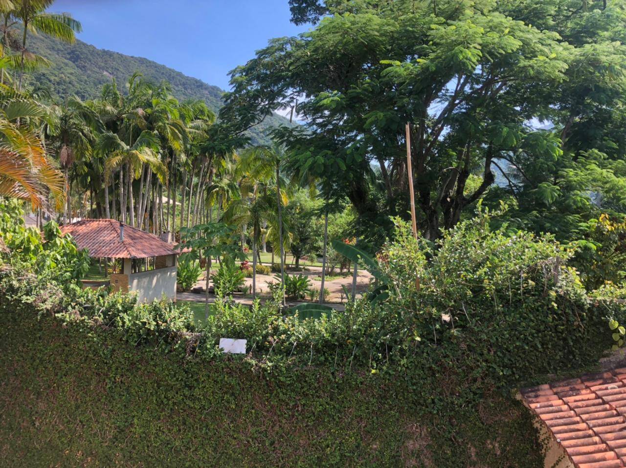 Sítio à venda com 4 quartos, 10000m² - Foto 16