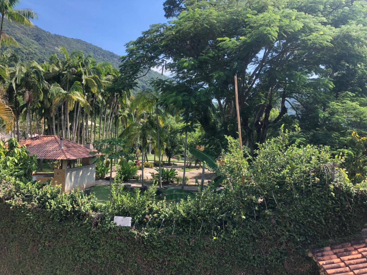 Sítio à venda com 4 quartos, 10000m² - Foto 13
