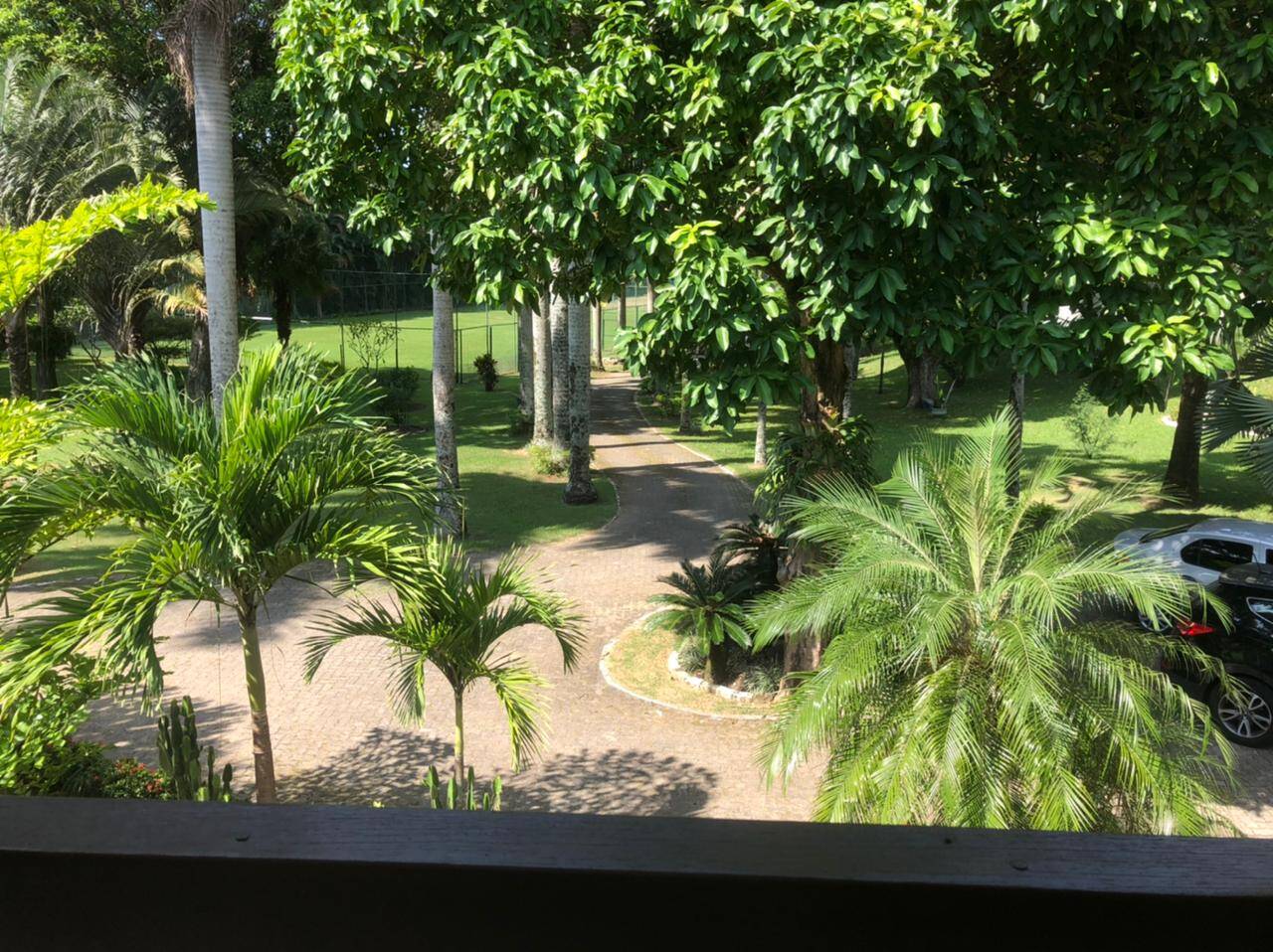 Sítio à venda com 4 quartos, 10000m² - Foto 32