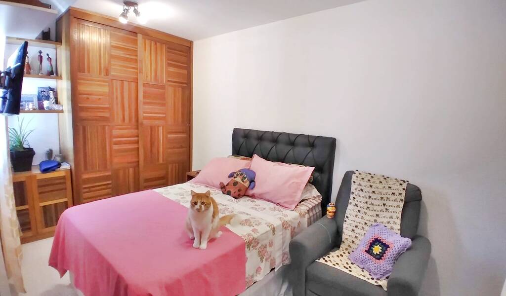 Apartamento, 2 quartos - Foto 13